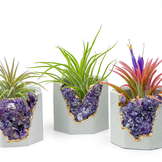 AMETHYST GEODE PLANTER