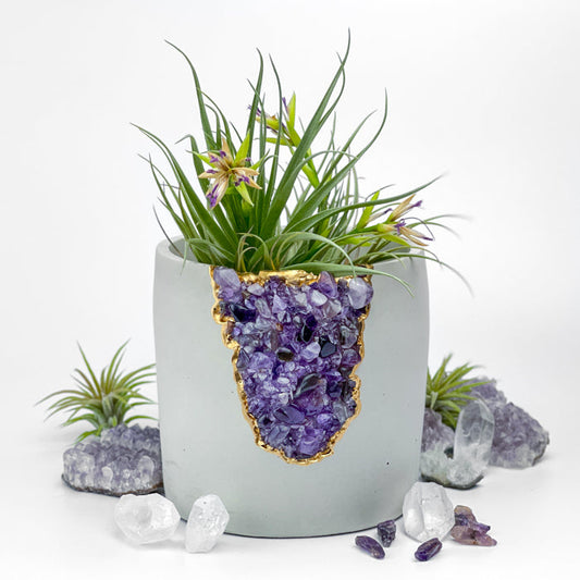 N°5 AMETHYST AURA PLANTER
