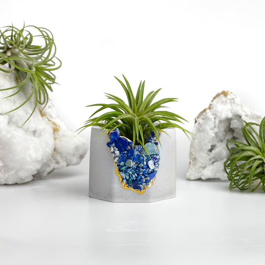 LAPIS LAZULI GEODE PLANTER