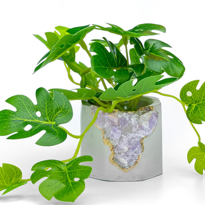 Madagascar AMETHYST GEODE PLANTER