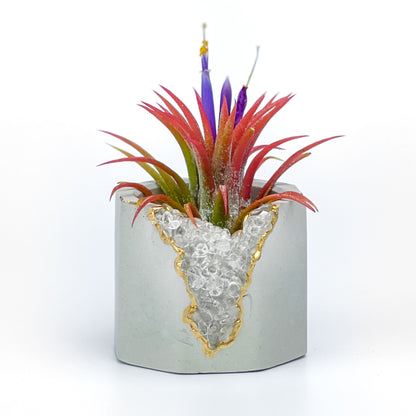 CLEAR QUARTZ GEODE PLANTER