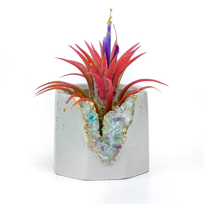 FLUORITE GEODE PLANTER