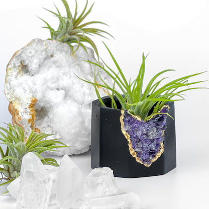 Black AMETHYST GEODE PLANTER