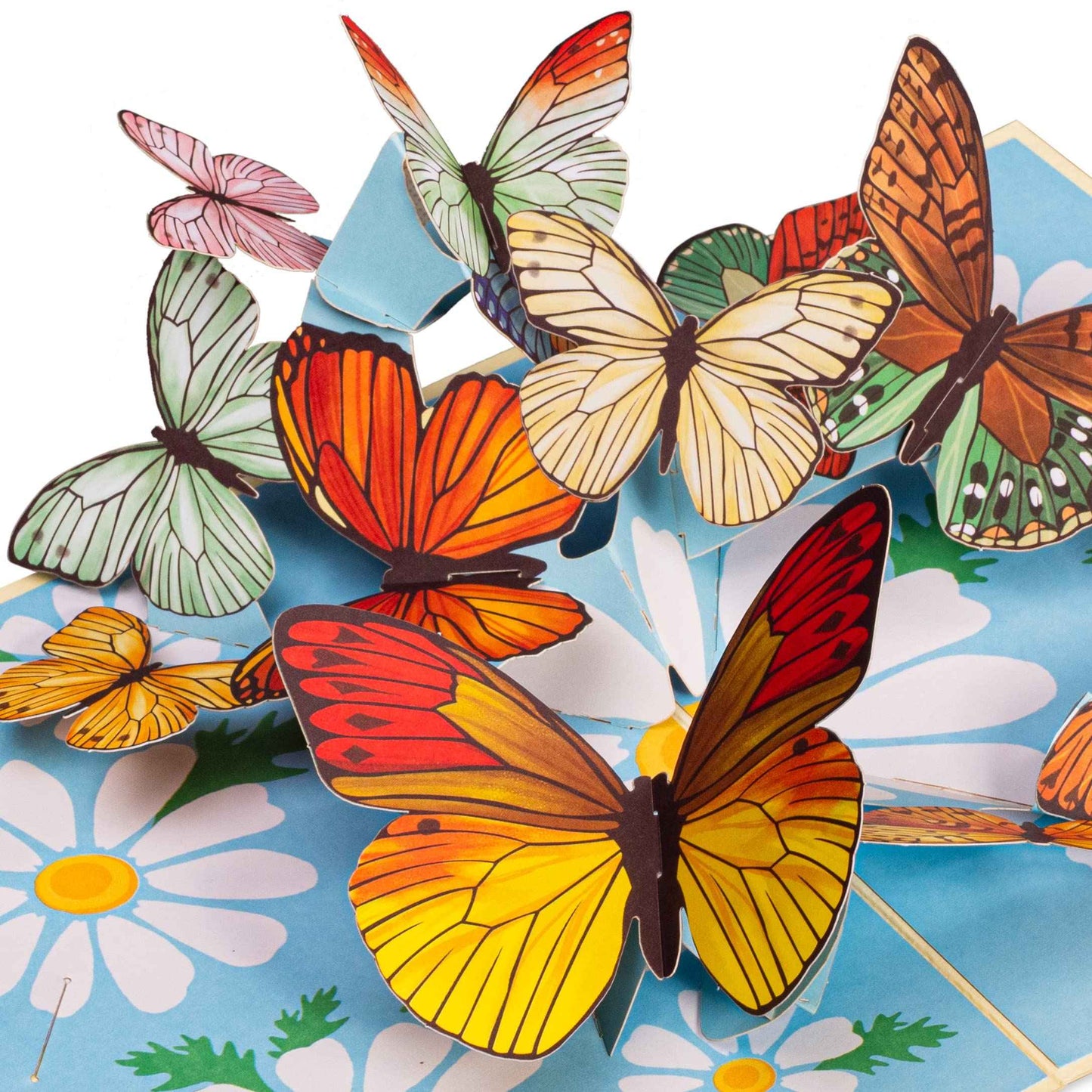 Spring Butterflies - Pop of Art