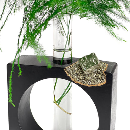 PYRITE PROPAGATION STATION