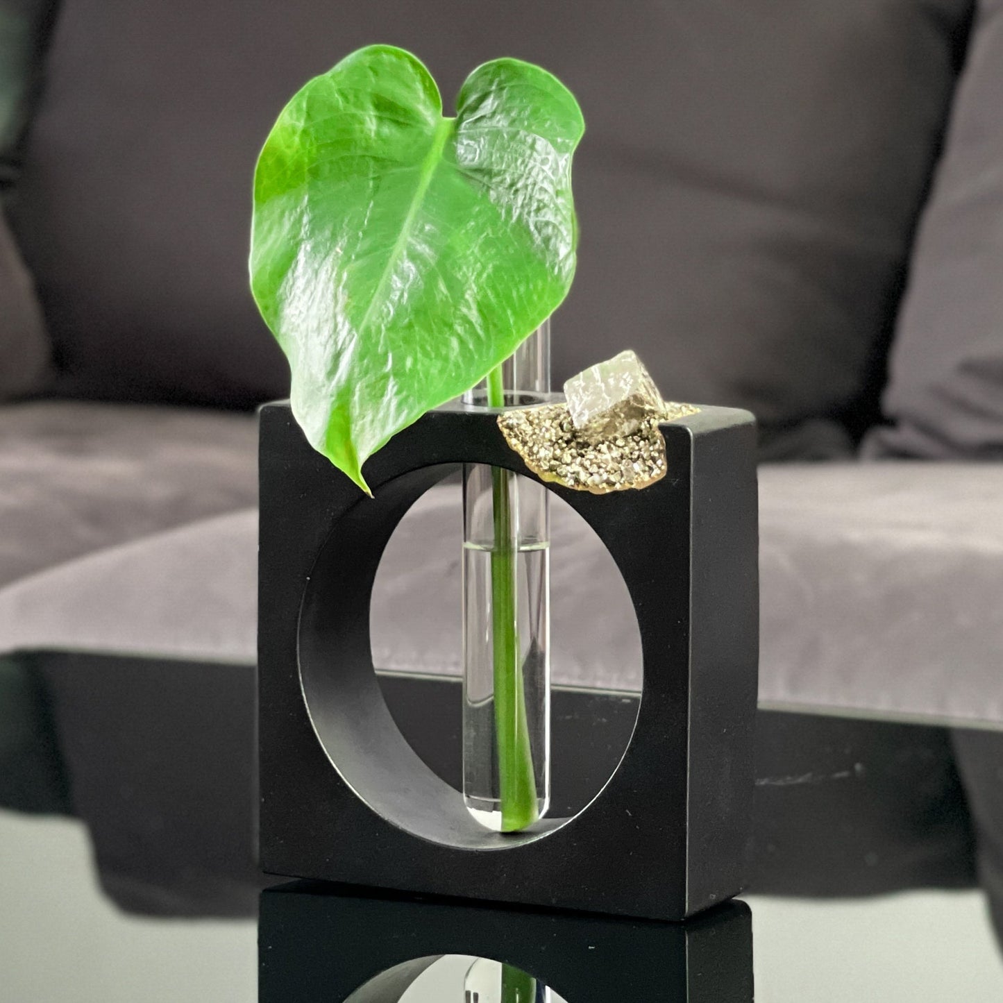 PYRITE PROPAGATION STATION