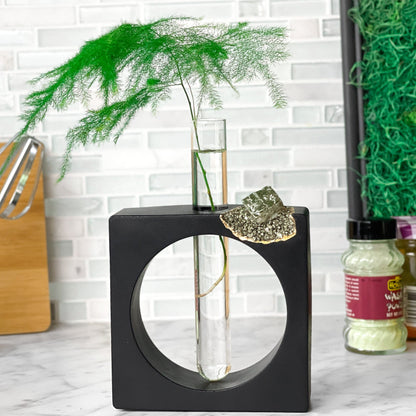 PYRITE PROPAGATION STATION