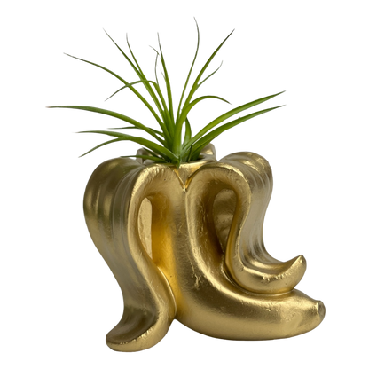 Banana Air Plant Holder
