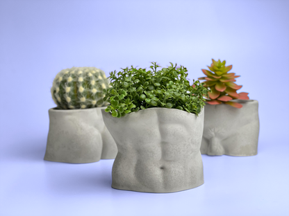 Male Body Planter Pot | TORSO