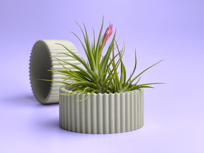 Scandinavian Air Plant Holder | Succulent Planter