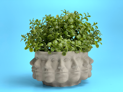 Multi Face Succulent Planter