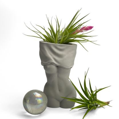 Female Body Vase | AIR PLANT HOLDER
