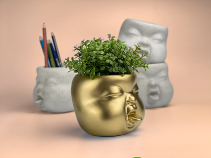 Baby Face Succulent Planter