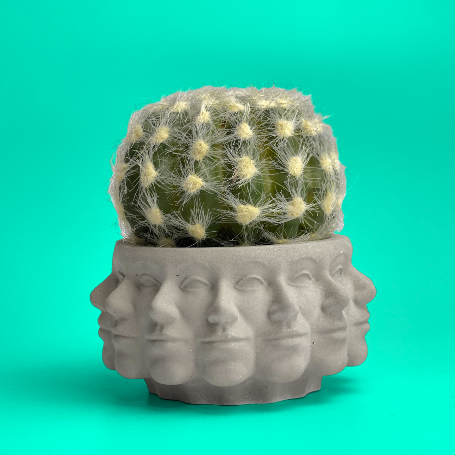 Multi Face Succulent Planter