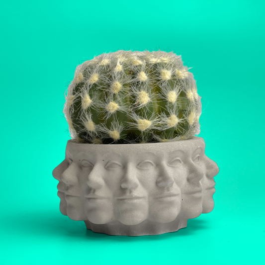 Multi Face Succulent Planter