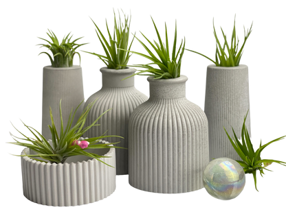 SKINNY MINI VASE | AIR PLANT HOLDER