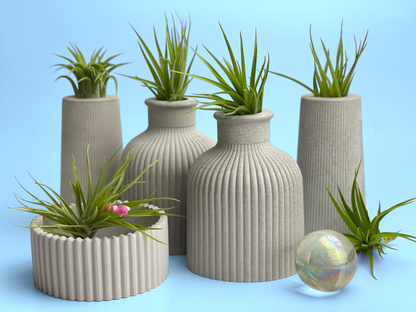 SKINNY MINI VASE | AIR PLANT HOLDER