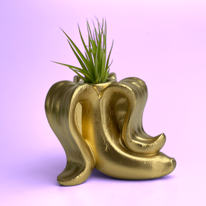 Banana Air Plant Holder