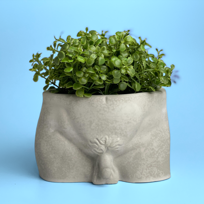 Male Body Planter Pot | Butt