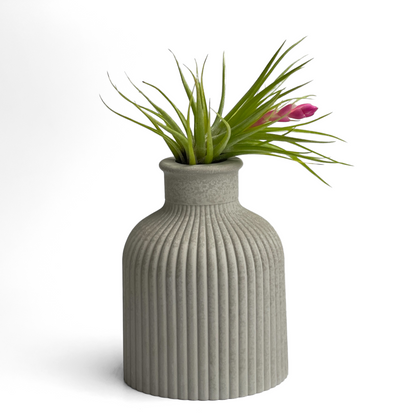 SKINNY MINI VASE | AIR PLANT HOLDER