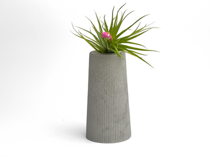 FAT MINI VASE | AIR PLANT HOLDER