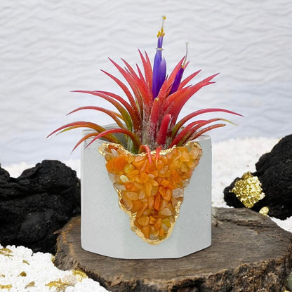 RED AVENTURINE GEODE PLANTER