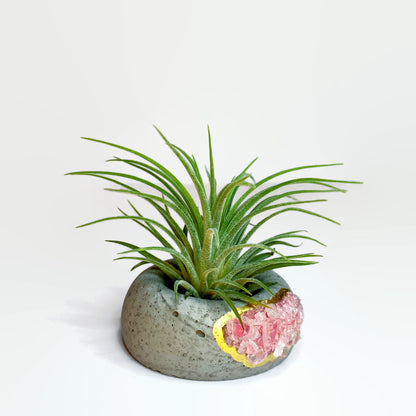 Geode Air Plant Holder -Rose Quartz Crystal Planter