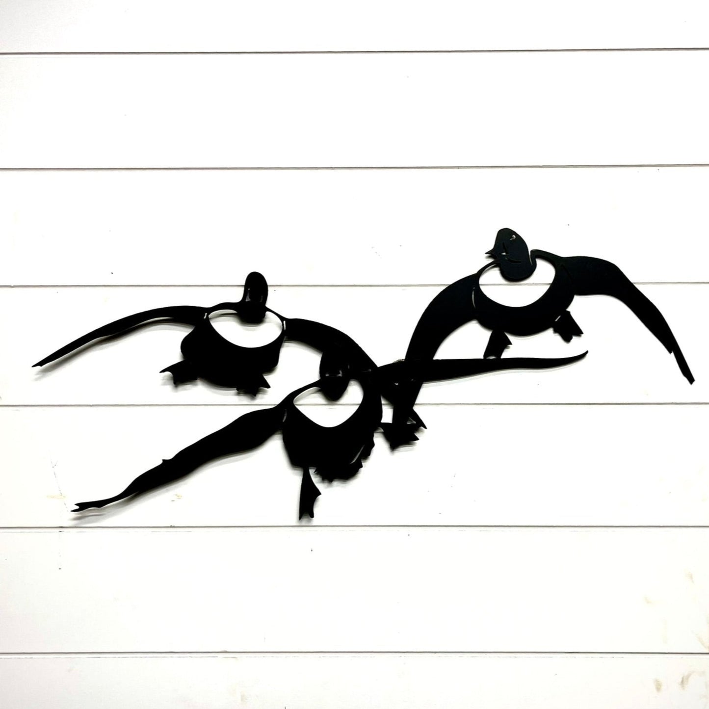 Steel Flock Canvasback Ducks | Wall Art