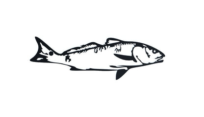 Steel Redfish (Drum) Wall Art