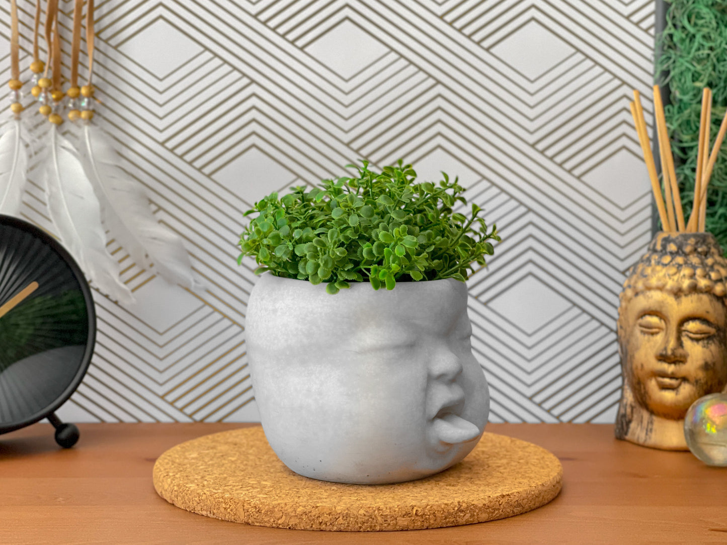 Baby Face Succulent Planter