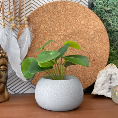 Mini Succulent Planter | Air Plant Holder